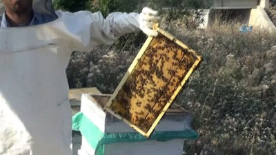 katki maddesi -  Akdağ balı, Anzer balına rakip  Videosu