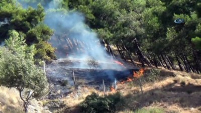 orman yangini -  Antakya’da Habib-i Neccar Dağı’nda orman yangını Videosu