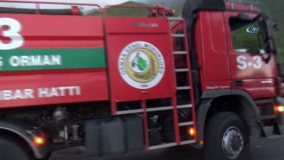 orman yangini -  Hatay’da orman yangınında yoğun mücadele  Videosu