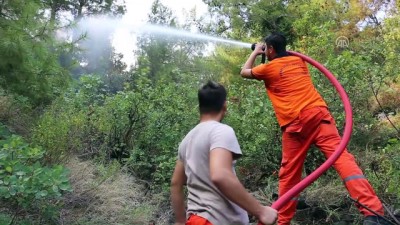 leman - Hatay'daki orman yangını - HATAY  Videosu