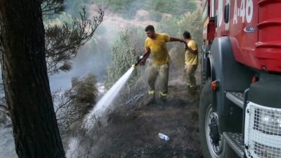 leman -  Hatay'daki orman yangınında soğutma çalışmaları sürüyor  Videosu