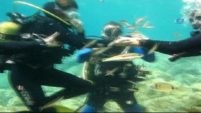 sosyal sorumluluk projesi -  Kravatlı dalgıçlardan mercan avı  Videosu