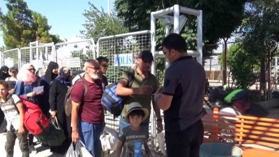 asad -  Beytüşşebap’ta erik hasadı başladı  Videosu