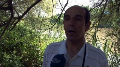 hassasiyet -  Prof. Dr. Ahmet Kılıç: “Dicle Vadisi Projesi yeniden ele alınmalı”  Videosu