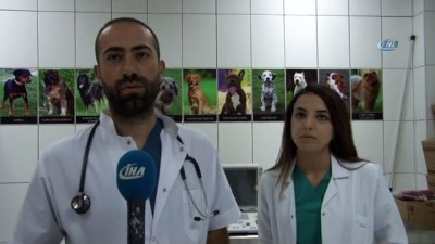 cop konteyneri -  Ölüme terk edilen köpek koruma altında  Videosu