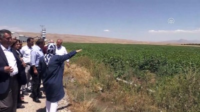 Yazıhan'da 90 bin dekar arazi suyla buluştu - Öznur Çalık - MALATYA
