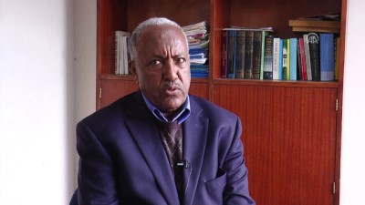 demokratiklesme - Afrika Boynuzu'nun eski dostları yeniden bir araya geliyor - ADDİS ABABA Videosu