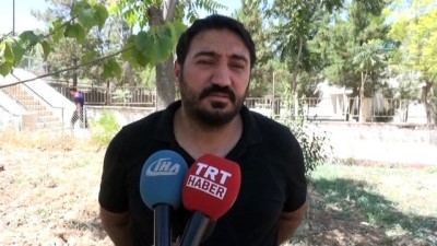 erimli -  Gercüş'te fıstık ağaçları aşılanmaya başlandı  Videosu