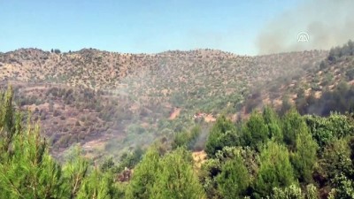 ormana - Kahramanmaraş'ta orman yangını Videosu