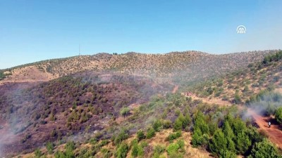 ormana - Orman yangını kontrol altına alındı - KAHRAMANMARAŞ Videosu