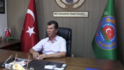 asad - Patates hasadına başlanması - NİĞDE  Videosu