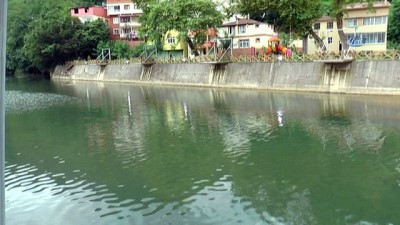 istifa -  Dereyi göle çevirdi, Uzungöl'e rakip oldu  Videosu