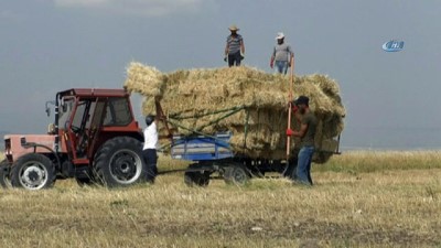 hava sicakligi -  Kars’ta sıcak havada çiftçilerin ot toplama mesaisi  Videosu
