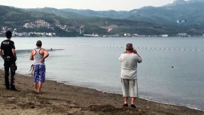 cenaze araci -  Gemlik denizinde ceset bulundu  Videosu