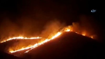 orman yangini -  - Gürcistan-Ermenistan Sınırındaki Yangın Söndürülemiyor  Videosu