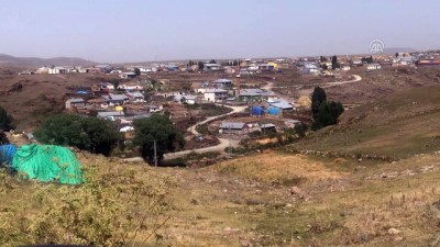 karantina - Tilkiden bulaşan kuduz nedeniyle köy karantinada - KARS  Videosu