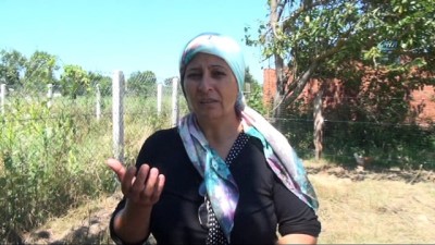 ameliyat -  Sinop'ta kurtların saldırdığı 8 koyun telef oldu Videosu