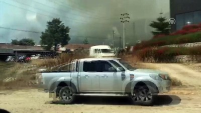 makilik alan - Bodrum'da otluk ve makilik alanda yangın (1) - MUĞLA  Videosu