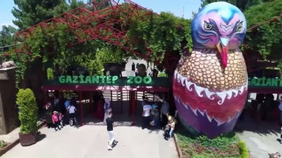 hayvanat bahcesi - Gaziantep'te 'Tropik Kelebek Merkezi' kuruluyor  Videosu