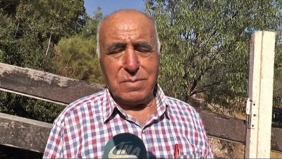 itfaiye araci -  Yangın sonrası korkunç manzara Videosu