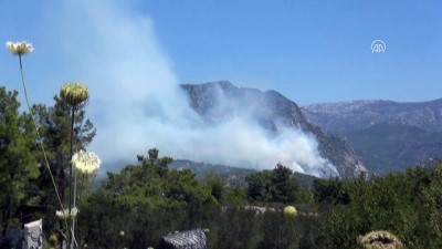 elektrik trafosu - Antalya'da orman yangını Videosu