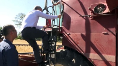 asad - Buğday rekoltesinde artış bekleniyor - NİĞDE Videosu