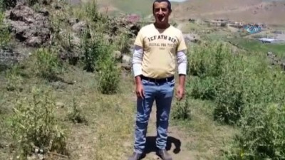 elektrik diregi -  Canını hiçe sayıp yavru kuşu elektrik direğindeki yuvasına bıraktı  Videosu