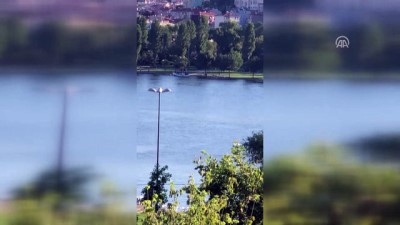 yunuslar - Haliç'in sevimli misafirleri yunuslar - İSTANBUL  Videosu