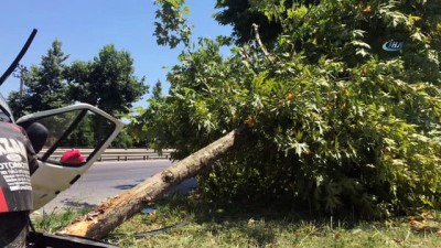 saglik ekibi -  Minibüs yol kenarındaki ağaca çarptı: 4 yaralı Videosu