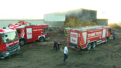 aniz yangini - Çatalca'da yangın - İSTANBUL Videosu