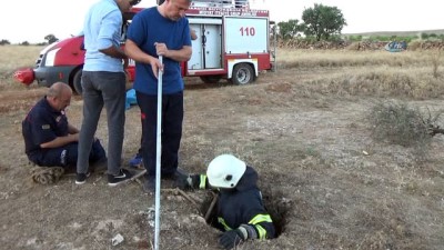 gezin -  Kuyuya düşen kedi itfaiye ekipleri tarafından kurtarıldı  Videosu