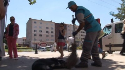 sokak hayvanlari -  Süpürgesi ile köpeğe masaj yapan temizlik işçisi konuştu  Videosu