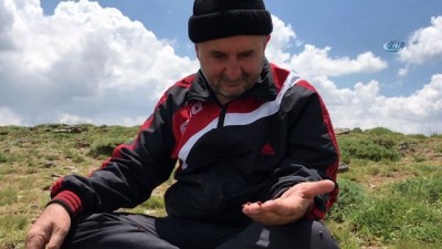 atmosfer -  Uğur böcekleri kartpostallık görüntü oluşturdu  Videosu