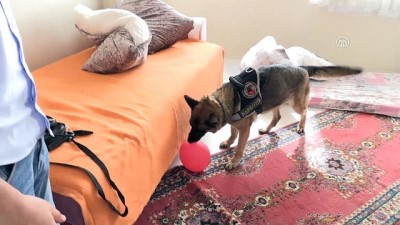 Şişli'de asayiş uygulaması - İSTANBUL