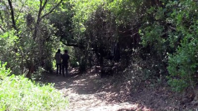 arkeoloji - 8 bin yıllık İncirliin'e turist akını - MUĞLA  Videosu