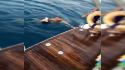 amator balikci -  Denizde oltaya takılıp can çekişen martı kaptan tarafından kurtarıldı Videosu
