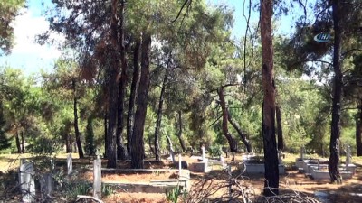 mezar taslari -  Mezarlık bakımsızlıktan harabeye döndü  Videosu