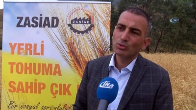 sosyal sorumluluk projesi -  2 bin yıllık ata tohumu buğday verdi  Videosu