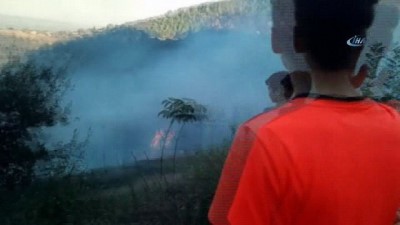 orman yangini -  Osmaniye’de orman yangını büyümeden söndürüldü  Videosu