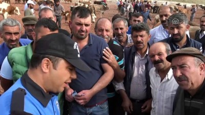 emniyet seridi - Polisten hayvan pazarında uygulamalı 'sahte para' uyarısı - KARS  Videosu