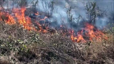 agacli - Silivri'de Anız Yangını - İSTANBUL Videosu