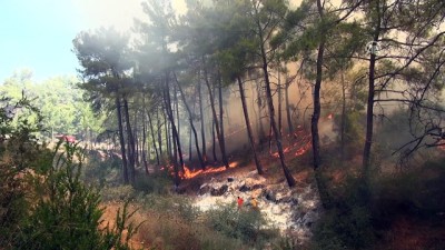 orman yangini - Antalya'da orman yangını (2) Videosu