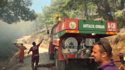 zeytin agaci -  Antalya'daki orman yangını kontrol altına alındı... 10 hektarlık tarım ve orman arazisi zarar gördü  Videosu