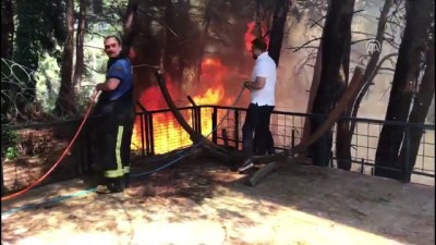 orman yangini - Orman yangını (6) - BURSA  Videosu