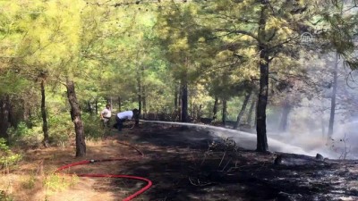 malt - Yayladağı'nda orman yangını - HATAY Videosu