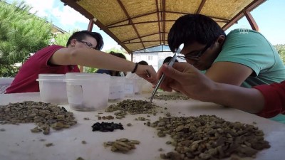 arkeoloji - Direkli Mağarası'nda 14 bin yıllık ayı ve sansar kafatası bulundu - KAHRAMANMARAŞ  Videosu