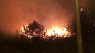 aniz yangini - Adıyaman'da anız yangını  Videosu
