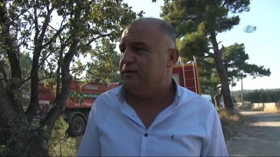 orman yangini -  Çanakkale'de orman yangını Videosu