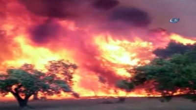 orman yangini -  Çanakkale'de orman yangını Videosu