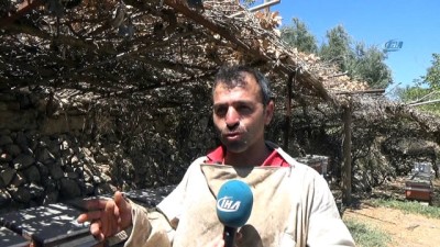 isvec -  Devlet desteğiyle doğal bal üretiyor  Videosu